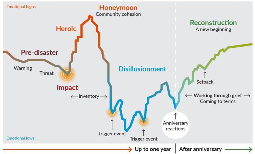 The King's Fund Covid-19 Resilience Curve